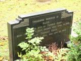 image of grave number 56055